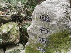 -绮园景区