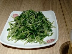 新鲜豌豆苗-老班长手工灌汤包老店(东山店)