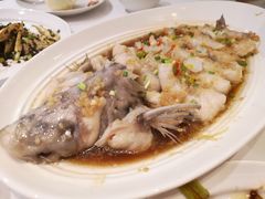 清蒸江团鱼-眉州东坡(民族园店)