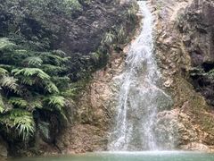 -南海湾森林生态园