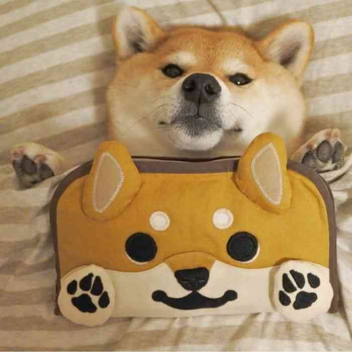 原创造型工作室