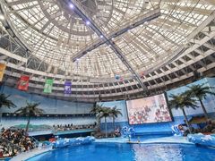 -海合安成都极地海洋公园