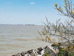 -上海滨江森林公园