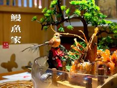 -鳗鱼家·深夜食堂(军博店)