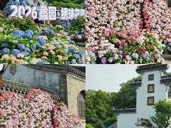 -无锡蠡湖国家湿地公园-蠡园