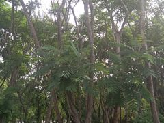 -吉林省自然博物馆