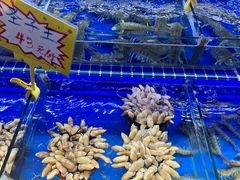 -大东海海鲜酒楼(渔人码头总店)