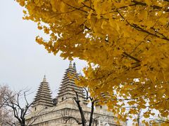 -北京石刻艺术博物馆(五塔寺)