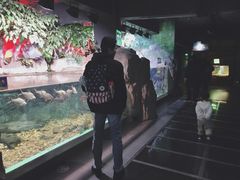 -常州海昌海洋探索馆