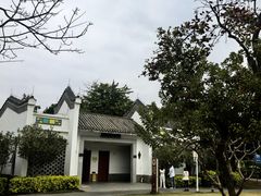 -宝安西湾红树林湿地公园