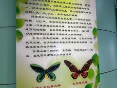 -上海昆虫博物馆