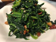 -贺秦生陕面王(富力城店)