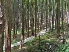 -山王坪喀斯特国家生态公园