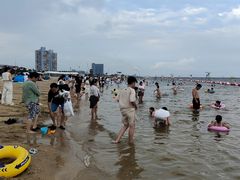 -碧海金沙