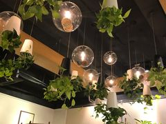 -柴务处·柴犬主题狗咖