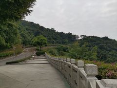 -火炉山森林公园