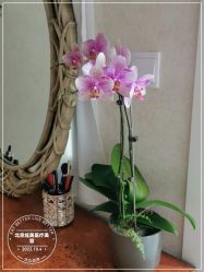-北京炫美医疗美容