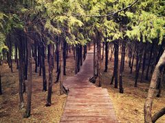 -北京十三陵国家森林公园蟒山景区