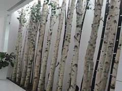 -极简口腔(总院)