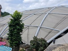 -新加坡水上探险乐园