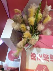 点击看大图 -昆明梦想医疗美容医院