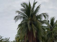 -三亚南山文化旅游区