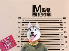 -天空之城蹦床攀岩运动馆·团建拓展·亲子游乐·生日派对(合肥店)