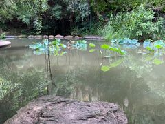 -燕晗山郊野公园