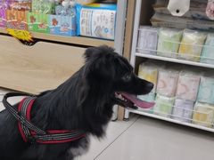 -艾贝尔宠物医院 ·中兽医·宠保定点(北门桥店)