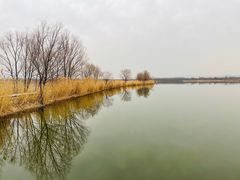 -野鸭湖国家湿地公园