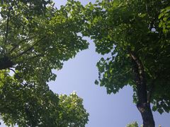 -洨河生态公园