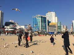 -海云台海滩