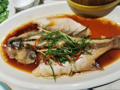 -新侨小馆(东直门北小街店)