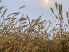 -良渚古城遗址公园
