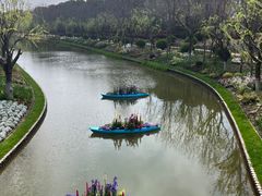 -上海鲜花港