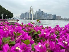 -二沙岛艺术公园