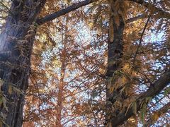 -国家植物园南园