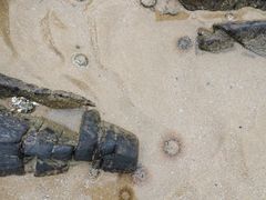 -青岛银沙滩