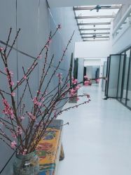 -无界瑜伽普拉提