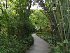 -大屏嶂森林公园