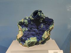 -贵州省地质博物馆