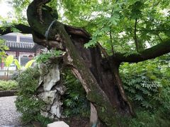 DSC06399_副本-汇龙潭