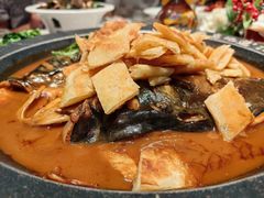 -北京市陈经纶中学