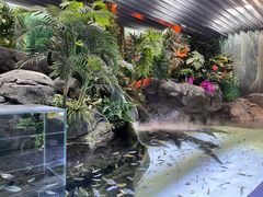 -上海海洋水族馆