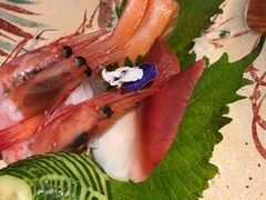 -森味薪火烧•烧鸟居酒屋•日本料理(望京店)
