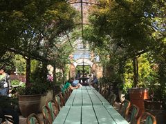-The Grounds of Alexandria