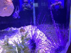 -南昌海洋公园