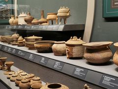 -广西壮族自治区博物馆