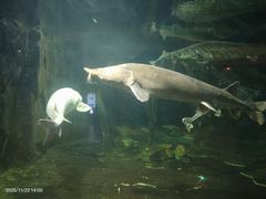 -华夏文旅西安度假区