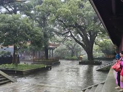 -普陀山风景名胜区-法雨禅寺